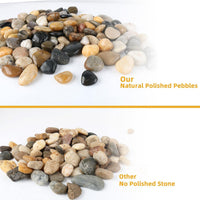 45lb White Rocks for Plants, Potting - 7LB / Colour - image 2