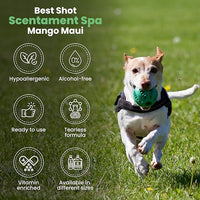Best Shot Scentament Spa for Pets, Seasonal Facial Spa and Body Wash, Mango Maui, Tearless Shampoo, Hypoallergenic Body Wash, Reduces Tear Stains, 1 Gallon