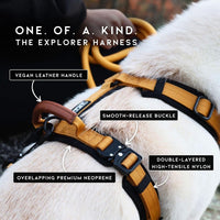 MADE TO ROAM Premium Explorer Harness - Michigan Autumn / Size 4 - image 2