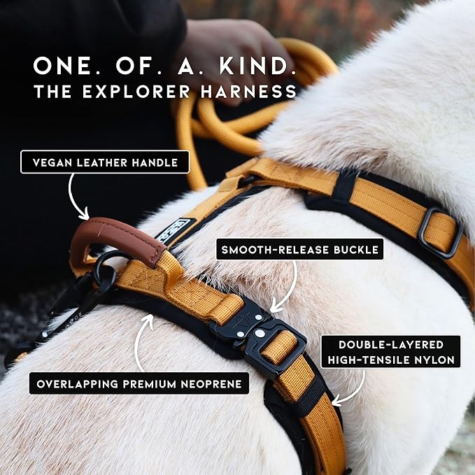 MADE TO ROAM Premium Explorer Harness - Y-Shaped Dog Harness with Adjustable Durable Nylon, Soft Padding, Metal Buckles and Leather Handle for Small, Medium, Large Dogs (Michigan Autumn, Size 6)