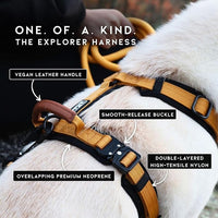 MADE TO ROAM Premium Explorer Harness - Y-Shaped Dog Harness with Adjustable Durable Nylon, Soft Padding, Metal Buckles and Leather Handle for Small, Medium, Large Dogs (Arizona Heartbeat, Size 2)
