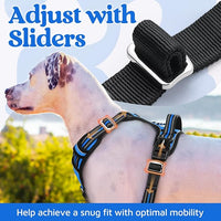 rabbitgoo Dog Harness for Large Dogs, No Pull Pet Vest with 3 Buckles, Adjustable Soft Padded Pet Harness with Easy Control Handle and Reflective Strips, Blue, XL