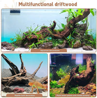 PINVNBY Natural Driftwood for Aquarium Decor Fish Tank Decorations - XL:Mopani Driftwood (11 - 18 inches/1 Pack) - image 3