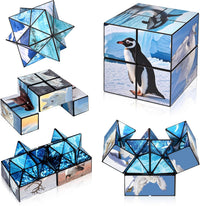Euclidean Cube Fidget Toys for Kids 2 in 1 Star Cube Magic Cube - Polar Animal