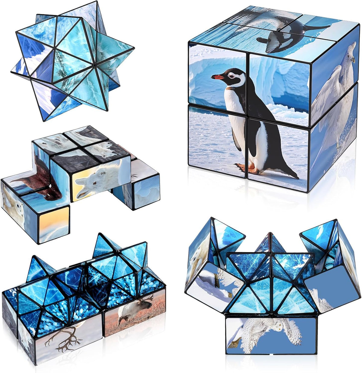 Euclidean Cube Fidget Toys for Kids 2 in 1 Star Cube Magic Cube - Polar Animal