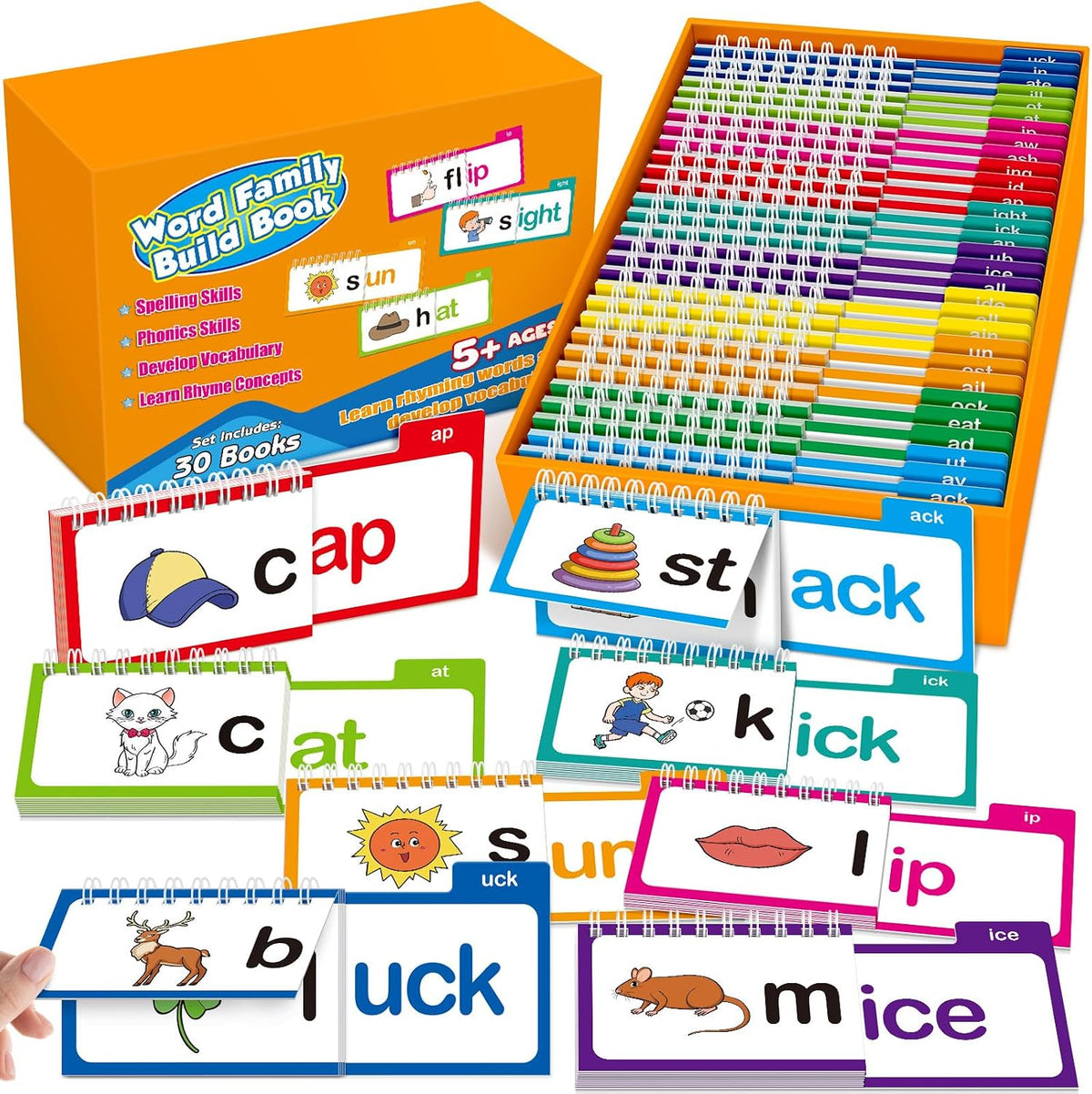 Phonics Flash Cards Word Family Build Book