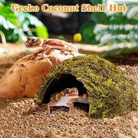 PINVNBY 2 PCS Natural Coconut Reptile Hideouts Lizard Coco Hut Hermit - Moss Surface / 2 PCS - image 3