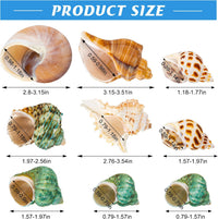SINKOO 9PCS Hermit Crab Shells Small Medium Large - image 3