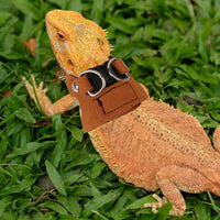 Bearded Dragon Harness Leash Set, 3 Size Lizard Harness - Brown - image 3