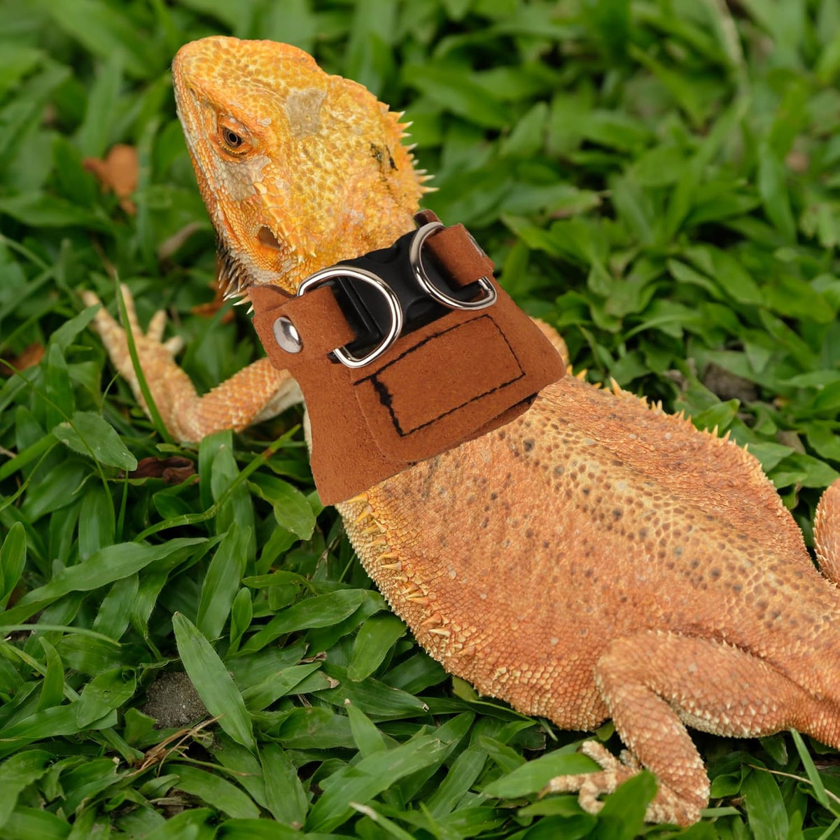 Bearded Dragon Harness Leash Set, 3 Size Lizard Harness - Brown - image 3