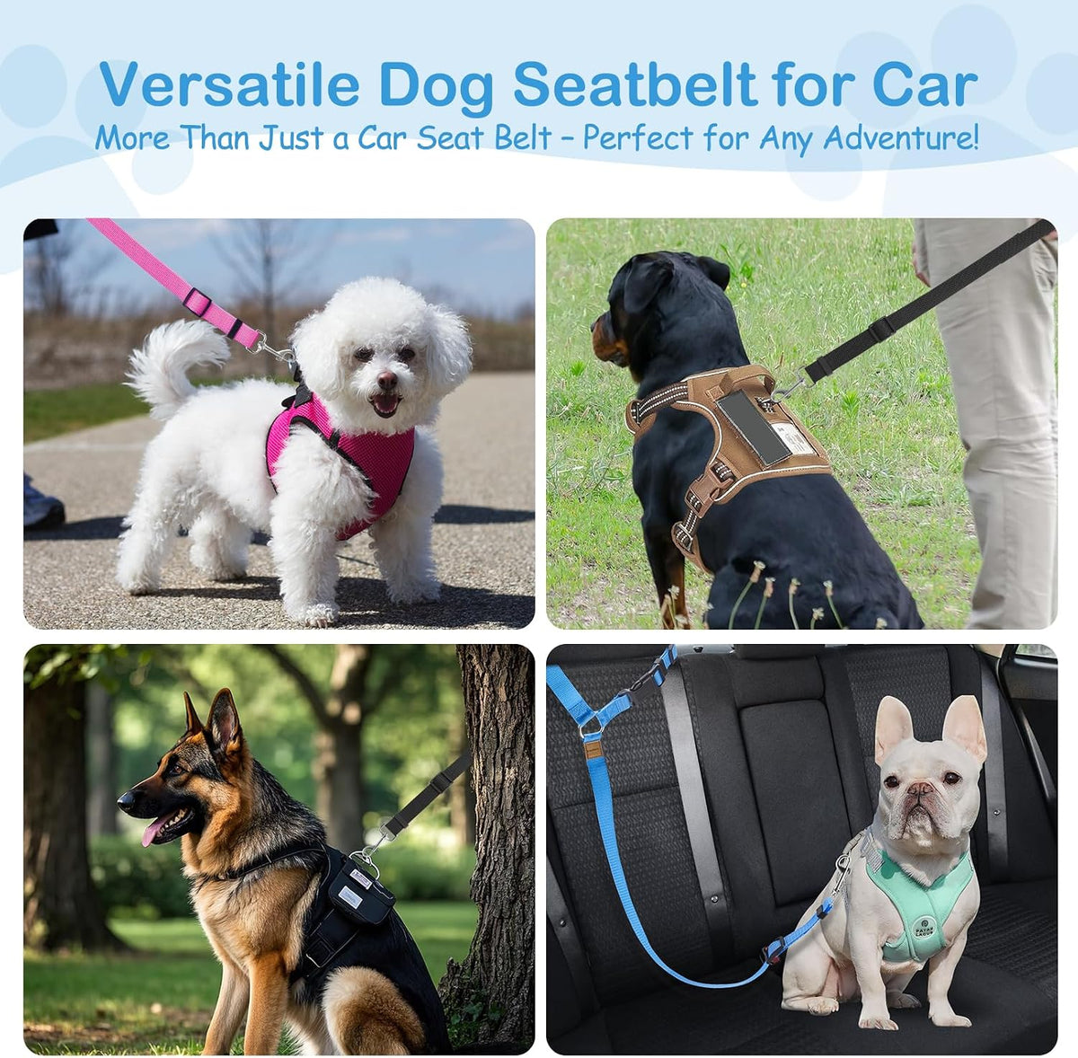 3 Pack Small Dog Belt for Car - Black & Pink & Blue - image 3