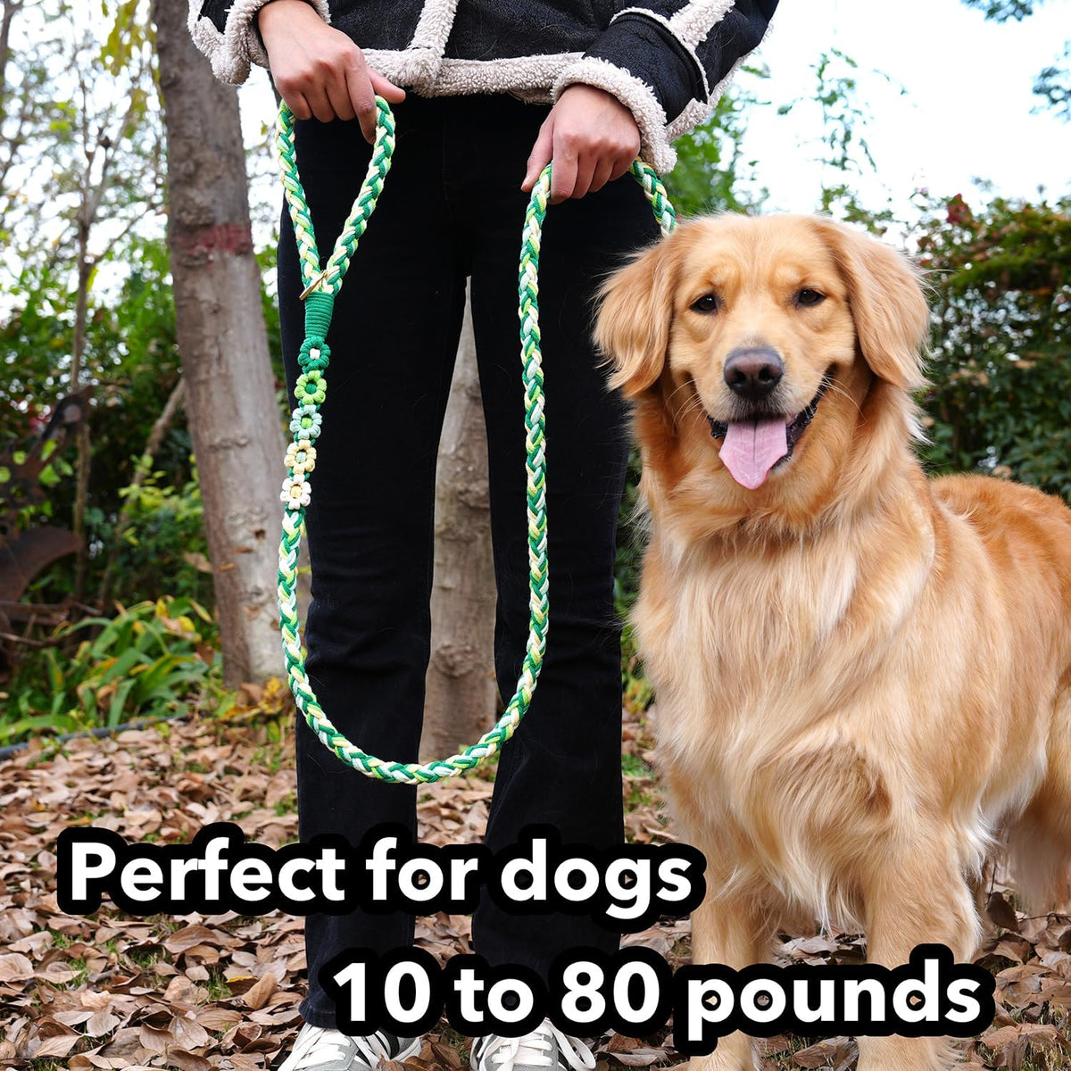 5FT Braided Cotton Rope Leash for Small, Medium and Large Dogs - Mint Meadow - image 2