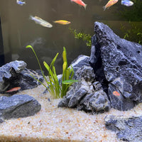 5 lbs Aquarium Sand, Beige Fish Tank Sand - Beige / 10 LB - image 3