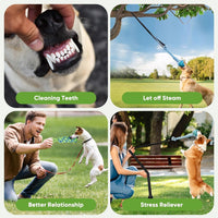 Dog Bungee Toy 5ft for Medium Dogs - Medium - image 4