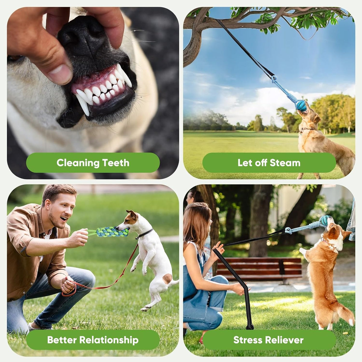 Dog Bungee Toy 5ft for Medium Dogs - Medium - image 4