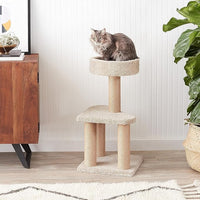 Amazon Basics Cat Tree - Indoor Cat & Kittens Multi-Level Climbing Activity Tower with Scratching Posts, Medium (31.5"H) - Beige