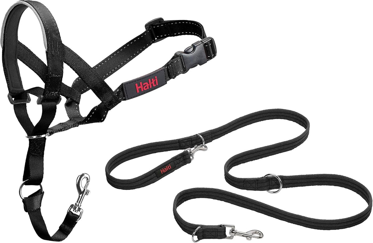 Halti Headcollar & Training Leash Bundle – Essentials for Dogs - Size 4 Head Collar