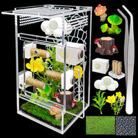 Jumping Spider Enclosure, DIY Insects Habitat - Green 2