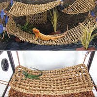 PINVNBY Bearded Dragon Tank Accessories - 【Human Skull+Rectangle Hammock Decor】 - image 2