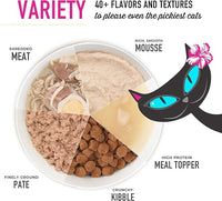 Tiki Cat Born Carnivore High Protein, Indoor Health, Chicken and Turkey Meal Recipe, Grain-Free Baked Kibble to Maximize Nutrients, Dry Cat Food, 3 lb. Bag