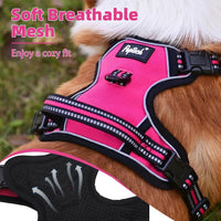 PUPTECK No Pull Halloween Dog Harness for Large - Fuschia / X-Large / Harness Only - image 4