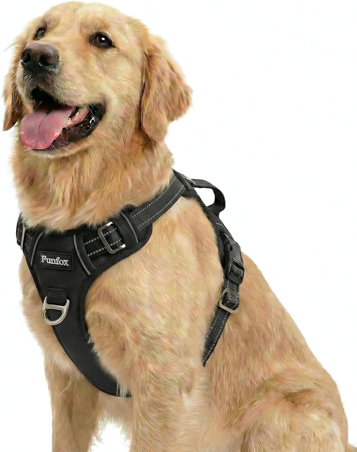 Funfox Dog Harness Medium Sized Dog - Black / Large