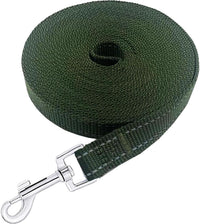 Nylon Training Dog Leash for Small Medium Large Dogs, Camping - Reflective Green / 1" x 50ft - image 3
