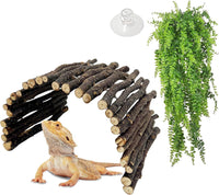 Extra Large Tortoise Hide Reptile Hideout Wood Turtle Tunnel – Essentials for Reptiles And Amphibians - L-15.8 x 7.9-2 PACK