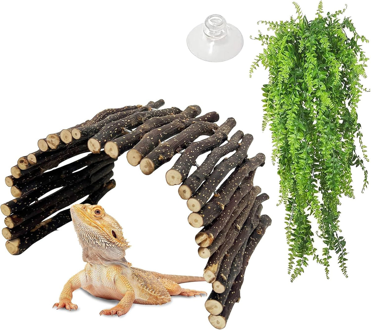 Extra Large Tortoise Hide Reptile Hideout Wood Turtle Tunnel – Essentials for Reptiles And Amphibians - L-15.8 x 7.9-2 PACK