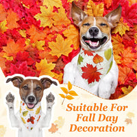Chunful 100 Pcs Fall Dog Bandanas Bulk Maple Leaf Print Autumn Pet - Maple / 25.6 x 17.7 x 17.7" - image 2