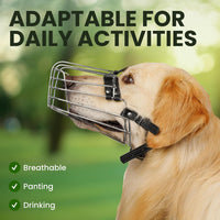 Stainless Steel Wire Basket Dog Muzzle for Husky – Essentials for Dogs - Stainless Steel / Belgian Malinois & Golden Retriever - image 4