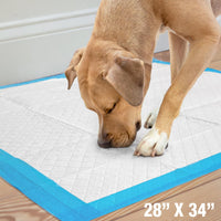 Four Paws Wee-Wee Superior Performance Extra Large Pee Pads for Dogs - 40 Count - image 4