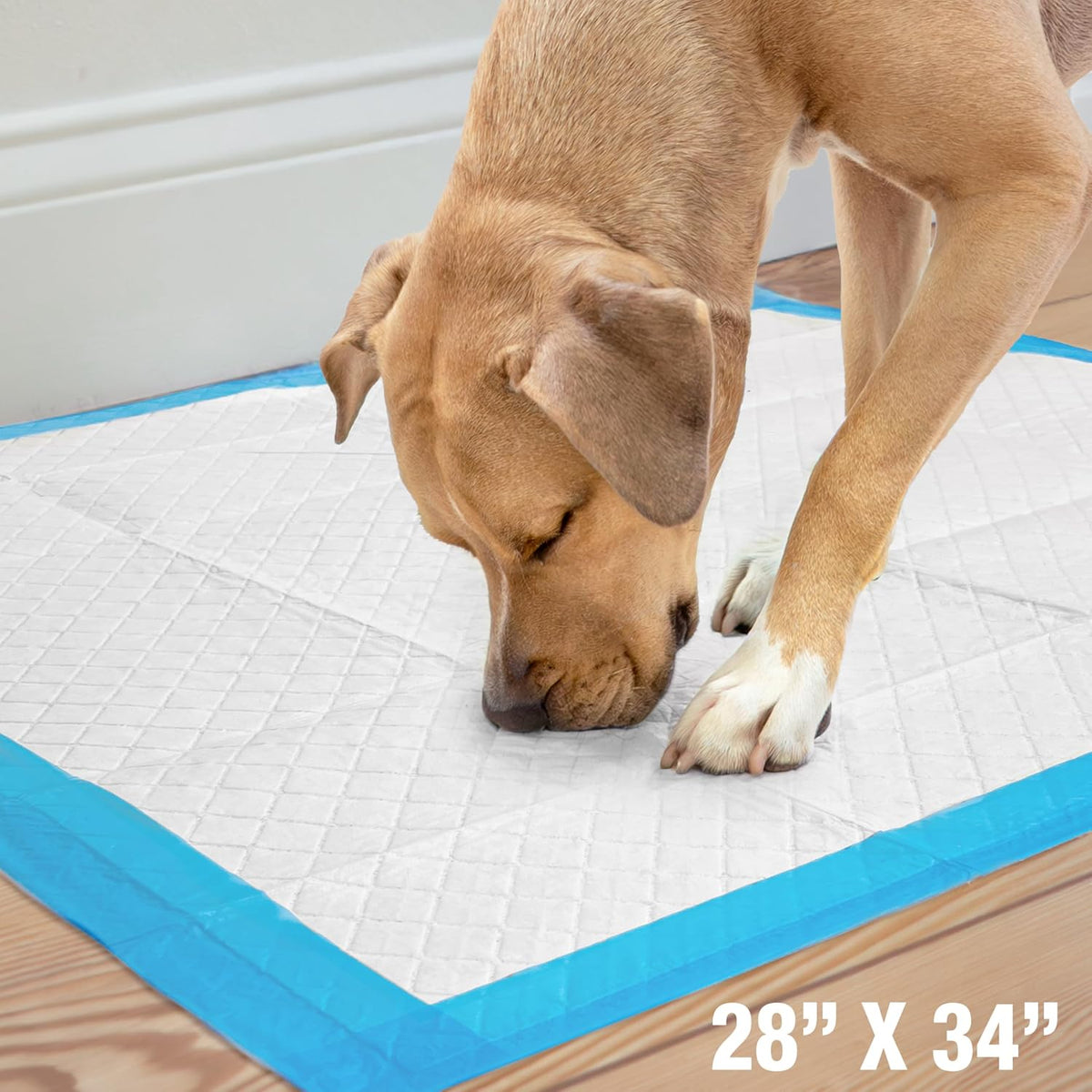 Four Paws Wee-Wee Superior Performance Extra Large Pee Pads for Dogs - 40 Count - image 4