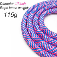 Double Dog Leash Coupler Heavy Duty Extension Rope for Two Large Dog – Essentials for Dogs - Small (1/3"D x 33"L) / Pinkblue - image 4
