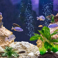 Moonorange Reptile Artificial Plants - Ms Set-e - image 4