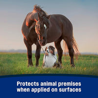 Farnam Repel-X Ready-To-Use Fly Spray, Insecticide And Repellent For Horses And Dogs, 32 Fluid Ounces, 1 Quart Bottle With Trigger Sprayer