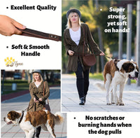 ADITYNA Leather Dog Leash for Large, and Small Dogs - XL - 6 ft x 1 inch / Brown - image 2