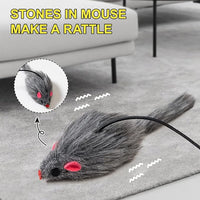 Hanging Cat Toy - 2PCS Interactive Cat Feather Toys for Mental Physical Stimulation, Retractable Teaser Kitten Toys for Indoor Cats Play Chase Exercise, Boredom Buster with Mouse