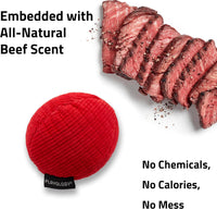 Playology Durable Plush Bone Toy, Squeaky Bone, Jumbo - Medium Ball / Beef - image 4
