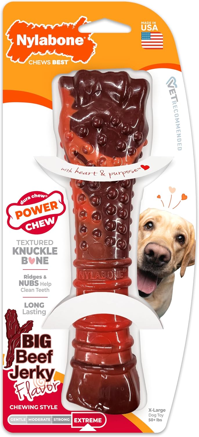 Nylabone Power Chew Basted Blast Dog Chew Toy - Beef Jerky / X-Large