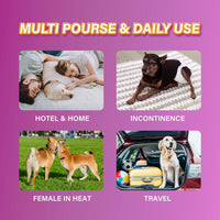 HONEY CARE All-Absorb Disposable Female Dog Diapers Small Size - X-LARGE - image 3