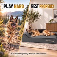 The Dog’s Bed Orthopedic Memory Foam Dog Bed with Headrest XL 6-Inch – Essentials for Dogs - Grey with Black Trim / XL (46"L x 28"W x 6"Th) - image 2