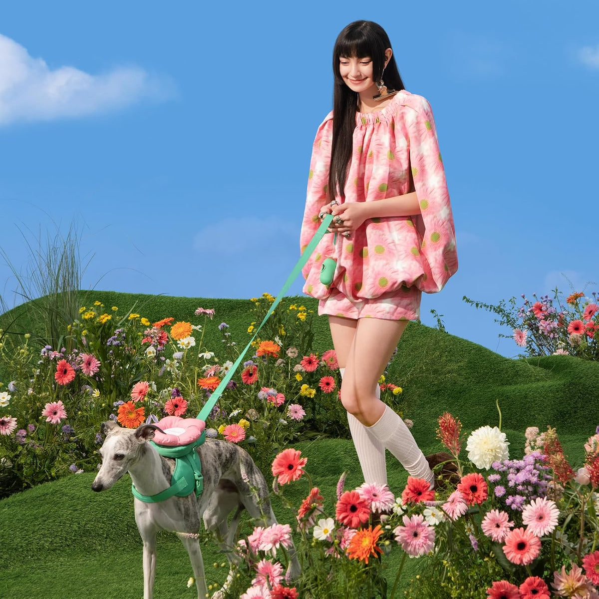 VETRESKA Flora Dog Harness, Leash and Collar Set - XS - image 3