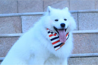 Halloween Dog Bandanas 2 Pack - 4th of July / X-Large - image 3