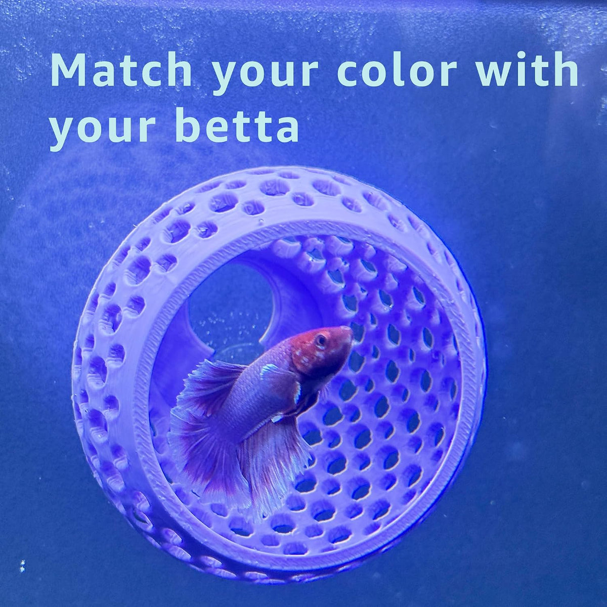 CTWPets Betta Bulb Hide 2.0, Betta Bed & Aquarium Cave - Lavender Bliss - image 4