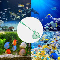 5 Pack Aquarium Fish Net, Multi-Size Fine Quick Fish Catch Nets Nylon Fishing Mesh Nets with Long - image 4
