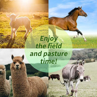 17 Inch Horse Play Balls Anti-Burst Herding Ball for Horse Mega Equine Ball for Play Training Horses Soccer Balls
