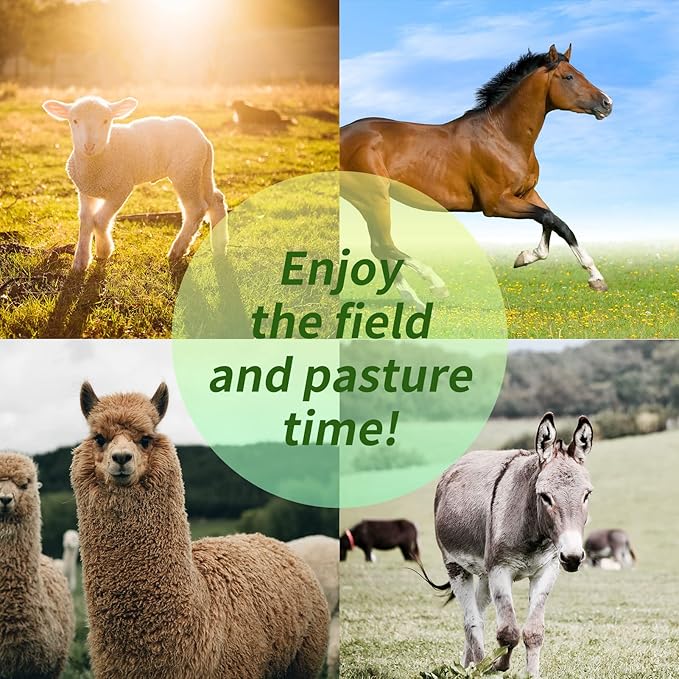17 Inch Horse Play Ball - Anti-Burst Herding Ball for Play & Training