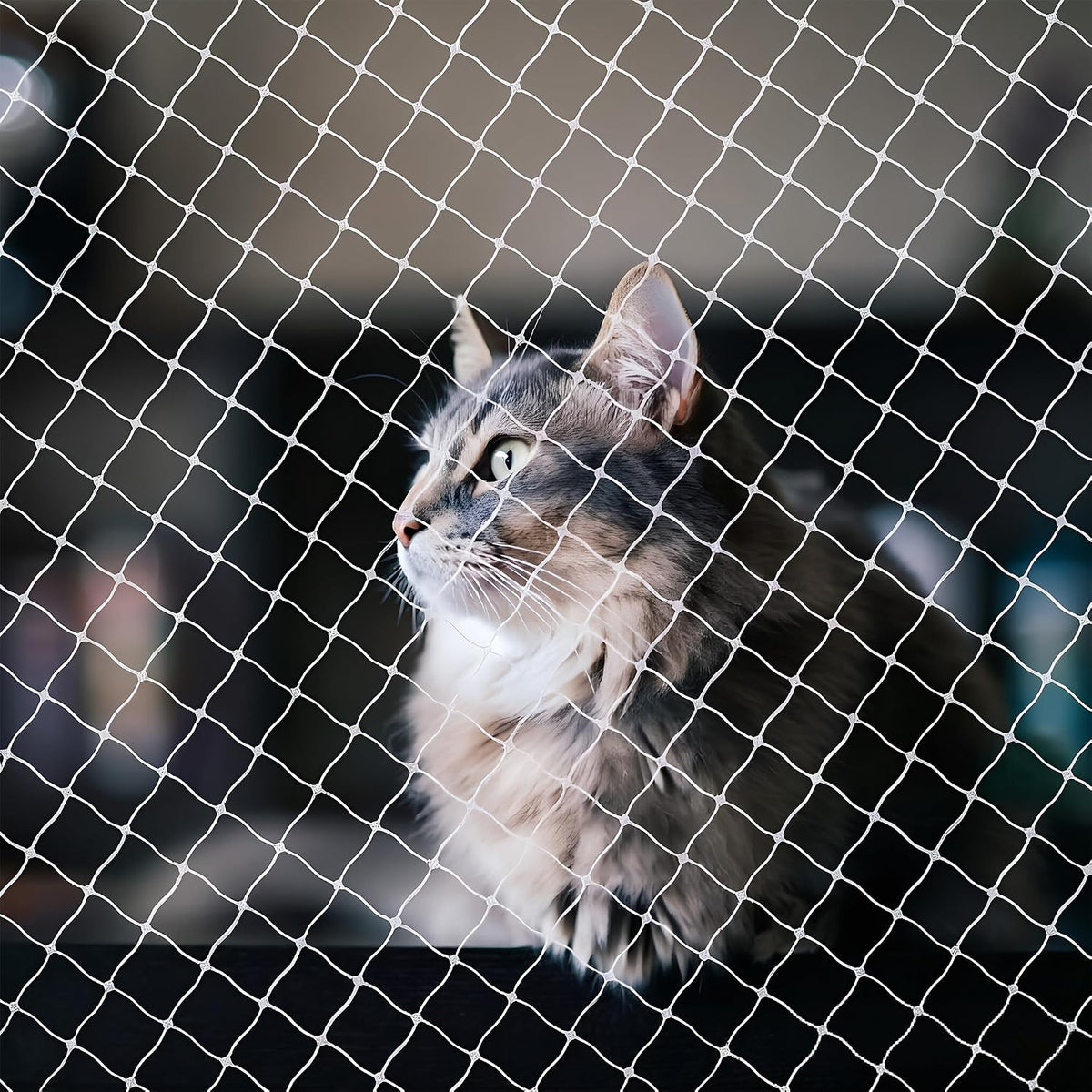 Cat Netting Balcony, UV & Weather-Resistant Cat Balcony Safety Net, Transparent Nylon Pet Mesh - Transparent 10x20ft