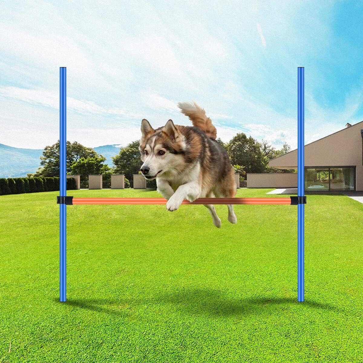 PAWISE Dog Agility Training Equipment - image 2